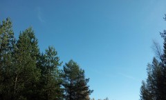 20141004_135602_resized